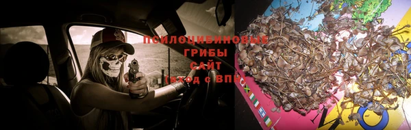 PSILOCYBIN Магадан
