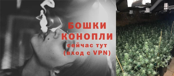прущие грибы Майский