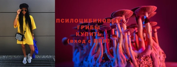 PSILOCYBIN Магадан