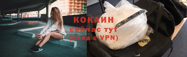 прущие грибы Майский