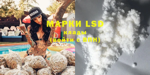 прущие грибы Майский