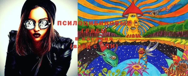 прущие грибы Майский