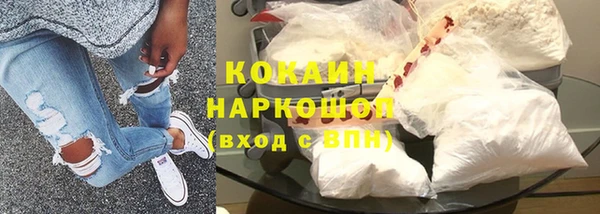 прущие грибы Майский